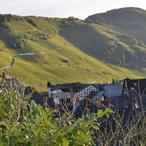 Weingut Erbes-Henn Otel Ürzig Dış mekan fotoğraf